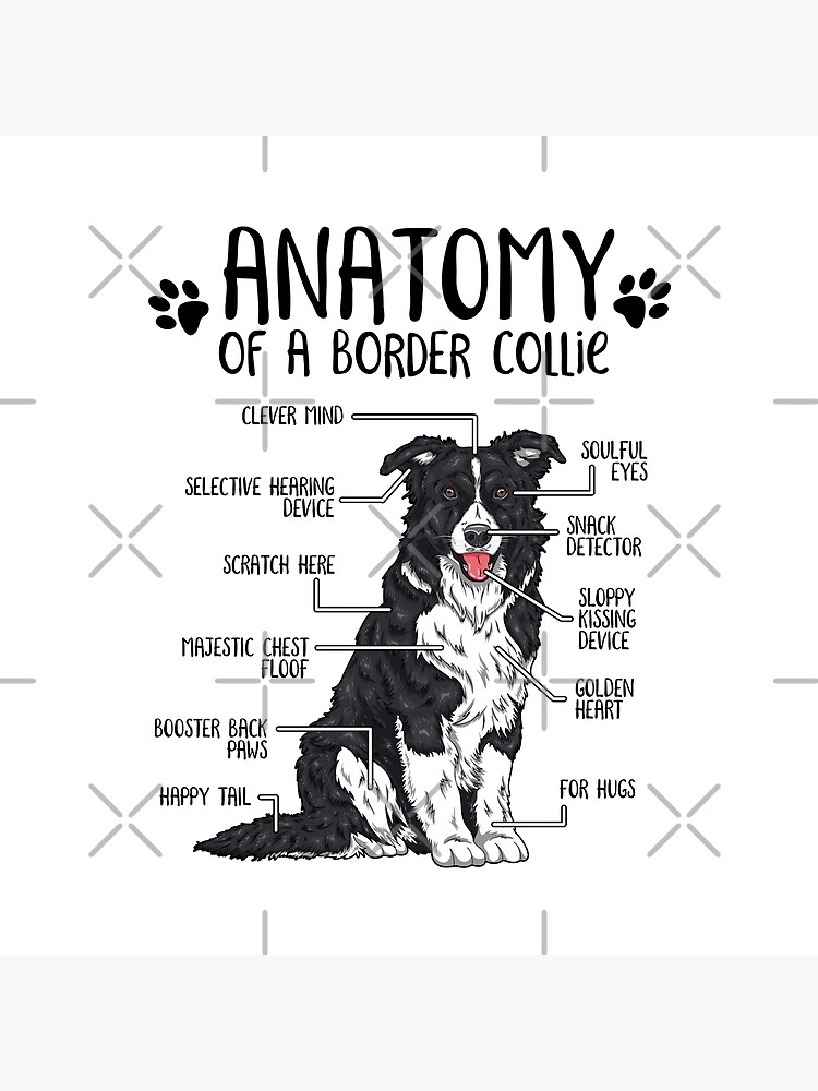 flat750x075f-pad750x1000f8f8f8-6 flat750x075f pad750x1000f8f8f8 6 - Border Collie Merch