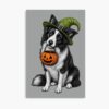 mp840x830mattef8f8f8t pad1000x1000f8f8f8 3 - Border Collie Merch