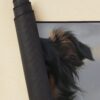 urdesk mat rolltall portrait750x1000 9 - Border Collie Merch