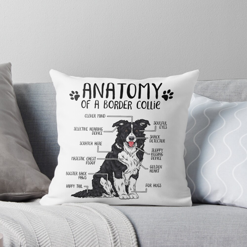 urthrow_pillow_couch_smallsquare1000x1000-6 urthrow pillow couch smallsquare1000x1000 6 - Border Collie Merch